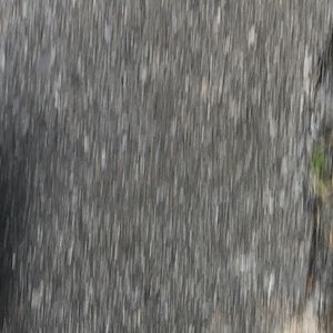 Meet your Posher, Summer